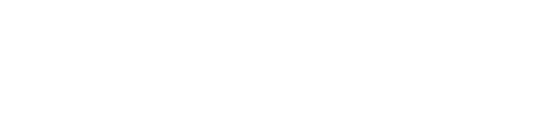 速風達集運-LOGO